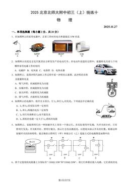 2025北京北师大附中初三（上）统练十物理-答案