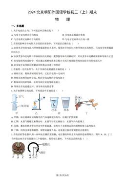 2024北京朝阳外国语学校初三（上）期末物理（教师版）-答案